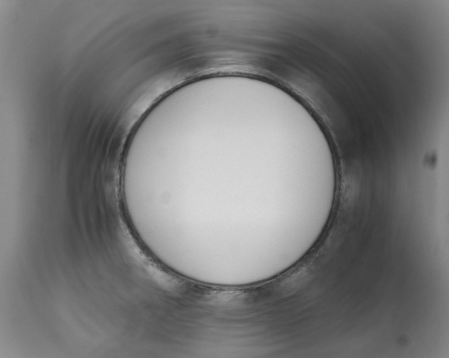 X0000113171282200909251408