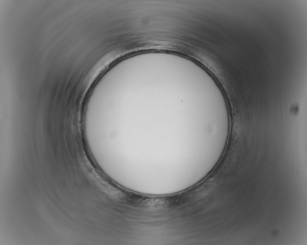 X0000113171283200909251408