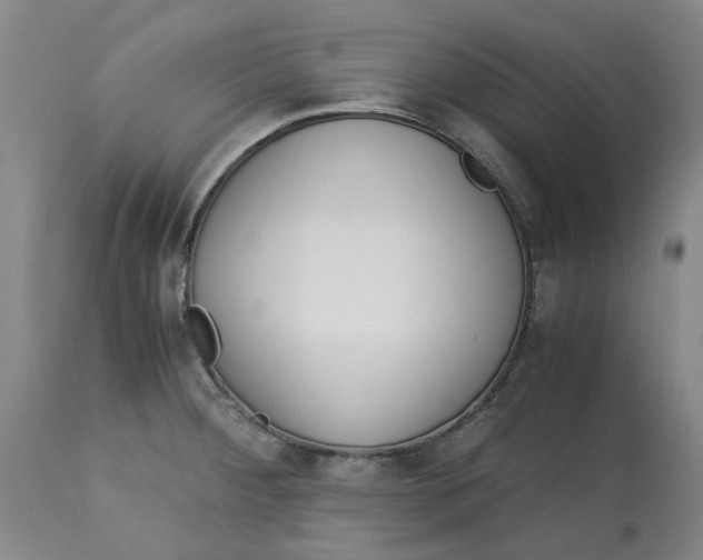 X0000113171284200909251408