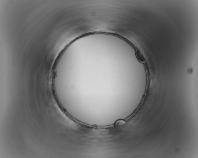 X0000113171285200909251408