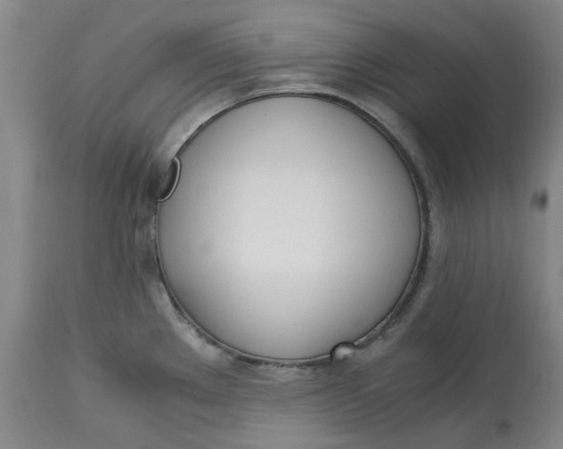 X0000113171289200909251408