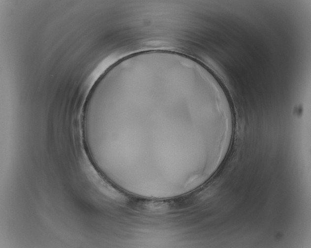 X0000113171291200909251408