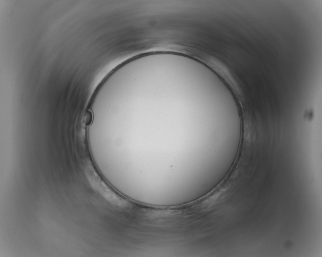 X0000113171292200909251408