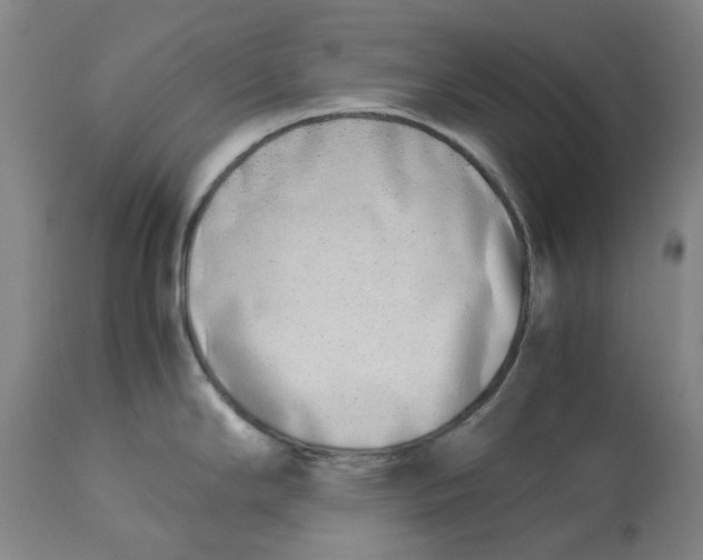 X0000113171294200909251408