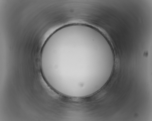 X0000113171295200909251408