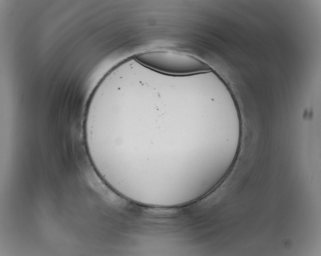 X0000113171296200909251408