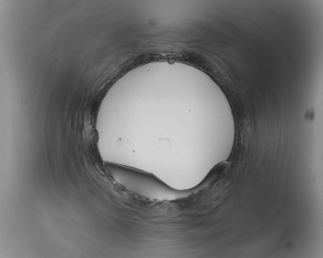 X0000113171298200909251408