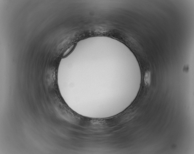 X0000113171299200909251408