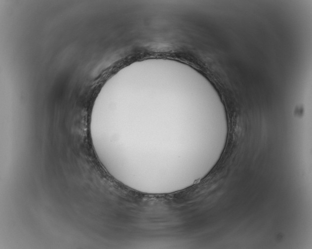 X0000113171301200909251408