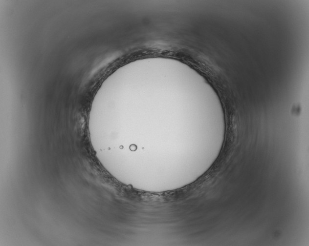 X0000113171302200909251408