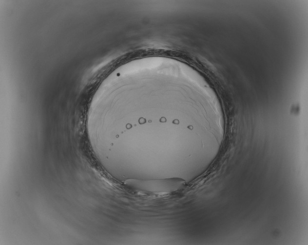 X0000113171303200909251408