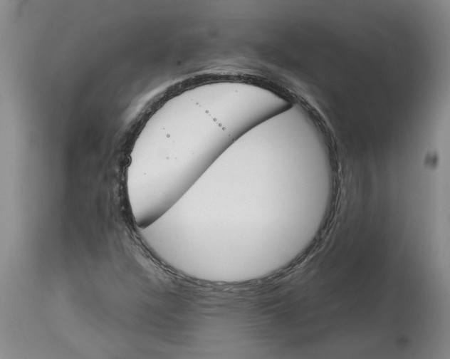 X0000113171304200909251408