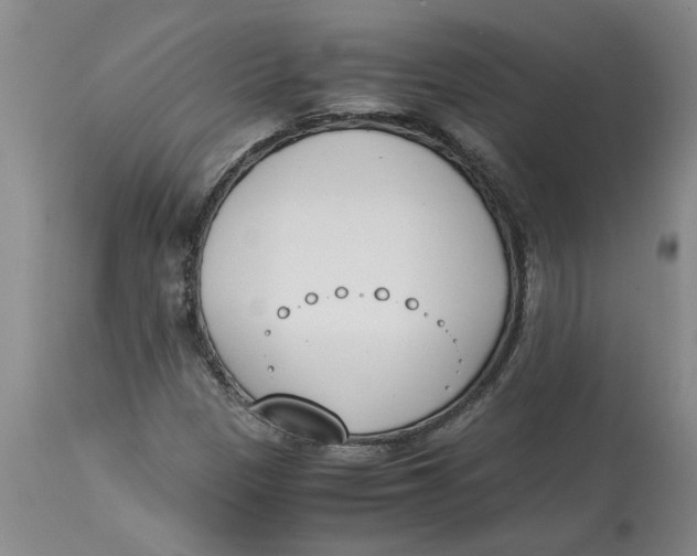 X0000113171305200909251408