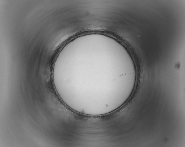 X0000113171306200909251408