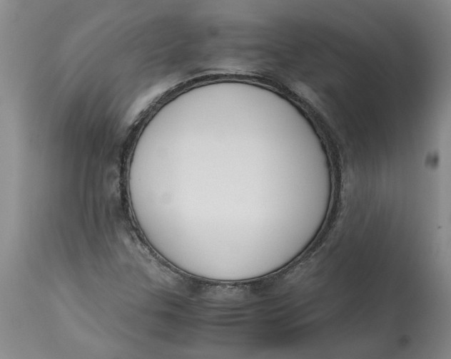 X0000113171307200909251408