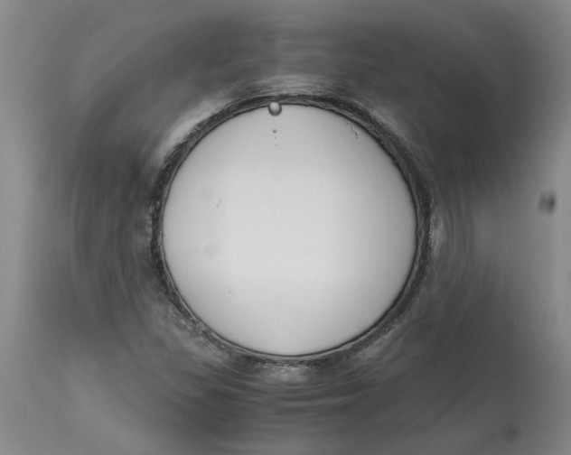 X0000113171309200909251408