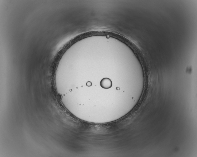 X0000113171311200909251408