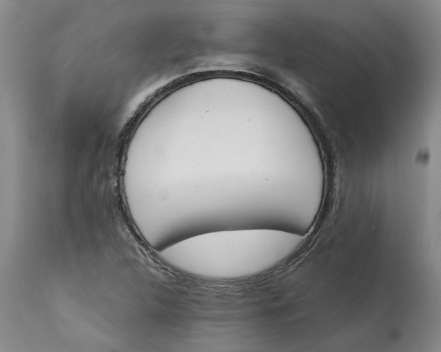 X0000113171312200909251408