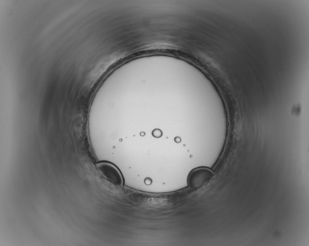 X0000113171313200909251408