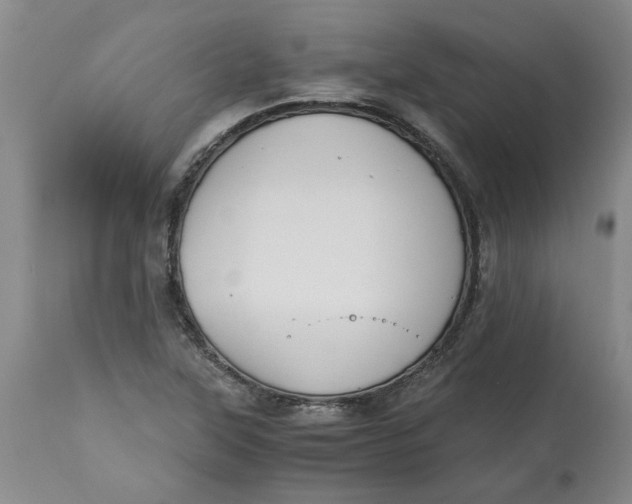 X0000113171315200909251408