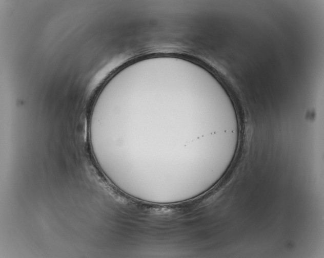 X0000113171317200909251408