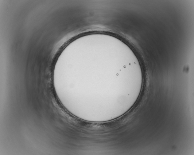 X0000113171318200909251408