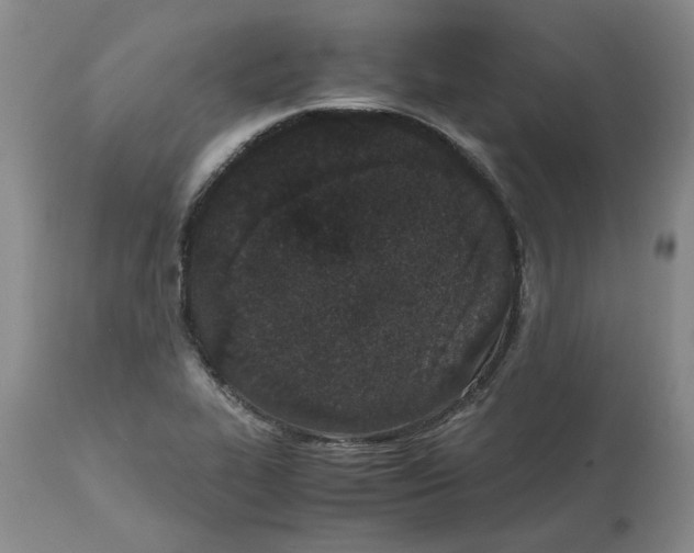 X0000113171319200909251408