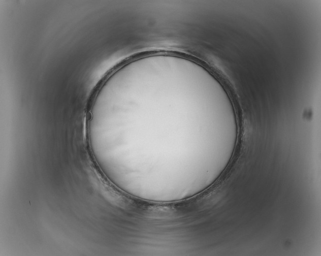 X0000113171320200909251408