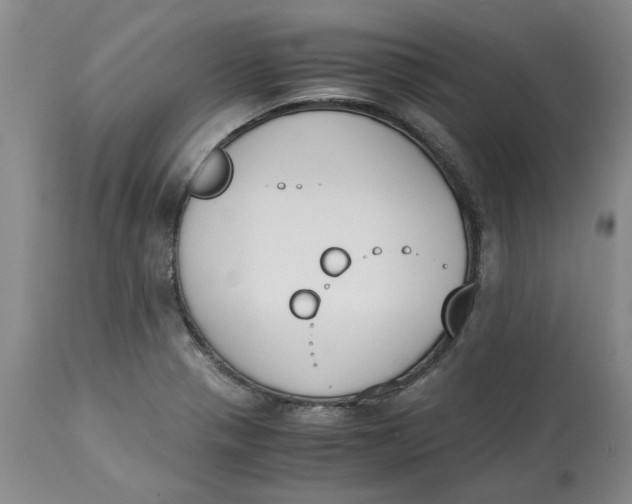 X0000113171321200909251408