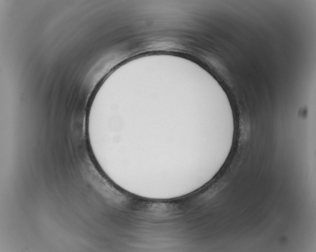 X0000113171322200909251408