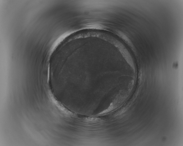 X0000113171323200909251408