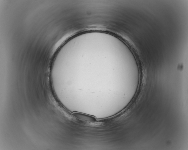 X0000113171325200909251408