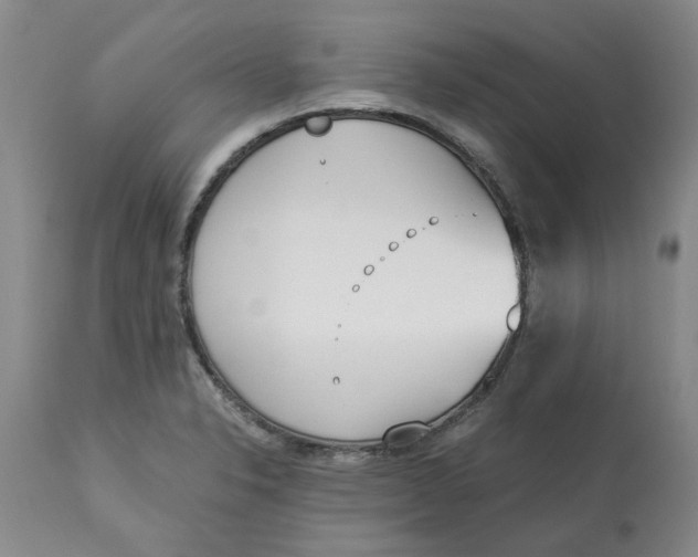 X0000113171326200909251408