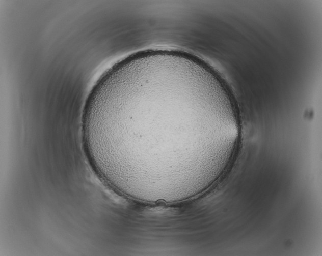 X0000113171327200909251408