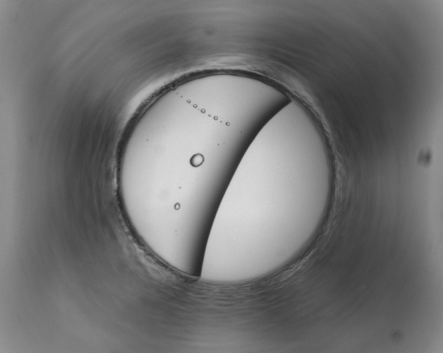 X0000113171328200909251408