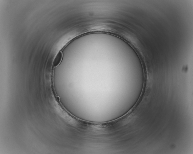 X0000113171330200909251408