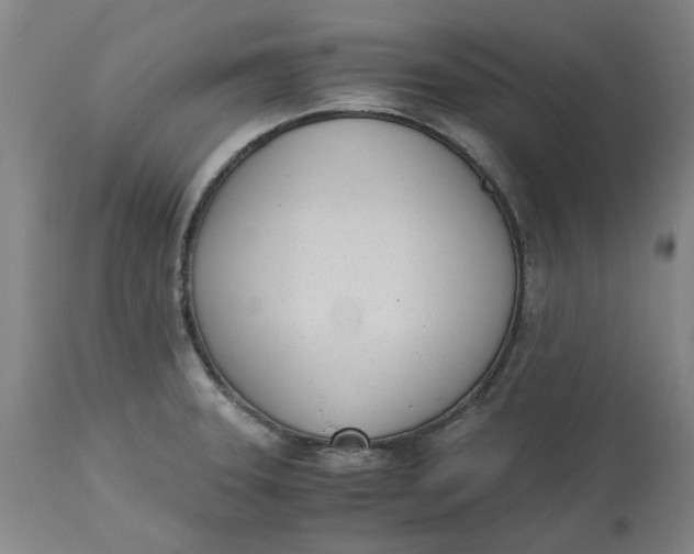 X0000113171331200909251408