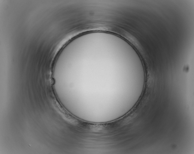 X0000113171332200909251408