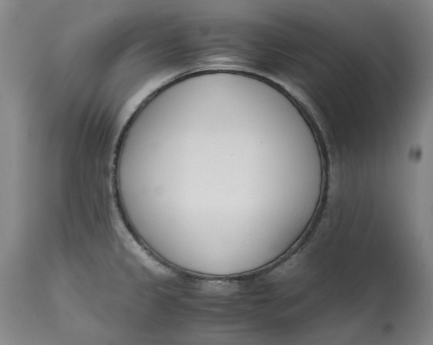 X0000113171333200909251408