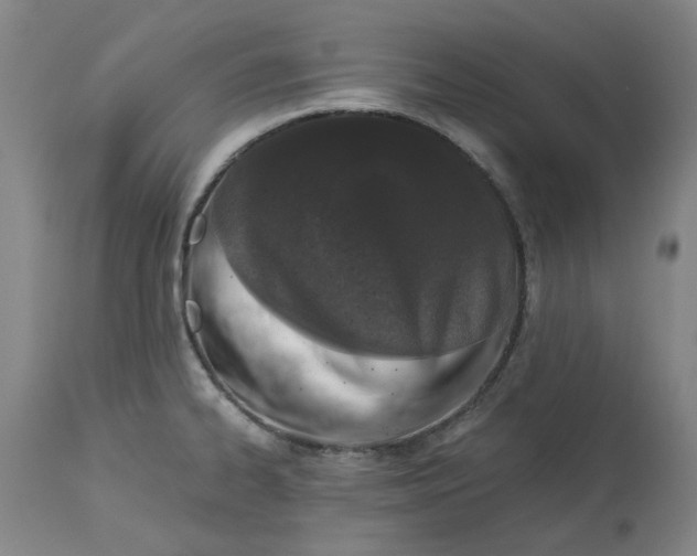 X0000113171334200909251408