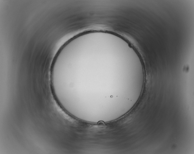 X0000113171335200909251408