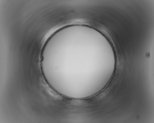 X0000113171336200909251408