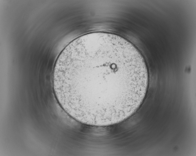 X0000113171338200909251408