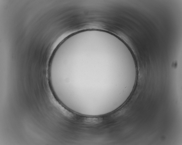 X0000113171339200909251408