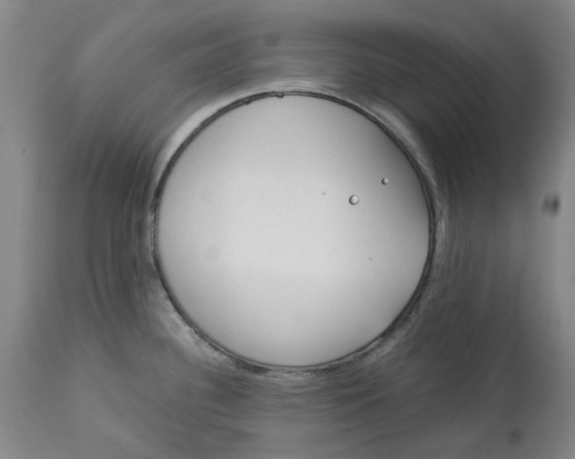 X0000113171340200909251408