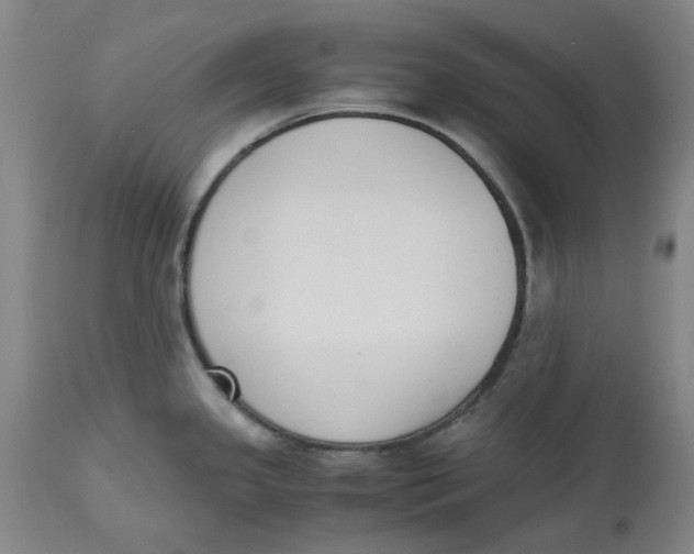 X0000113171341200909251408