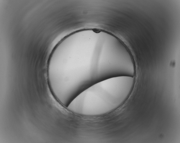 X0000113171342200909251408