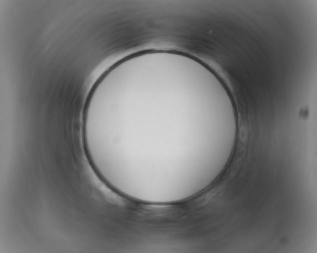 X0000113171343200909251408