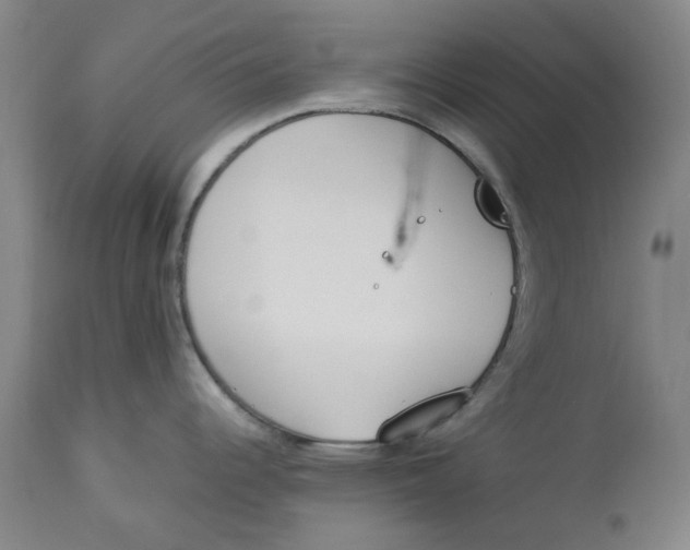 X0000113171344200909251408