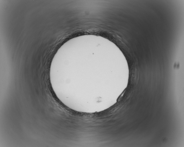 X0000113171345200909251408